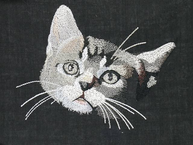 BFC1100 Large Kittens
