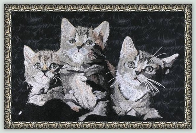 BFC1100 Large Kittens