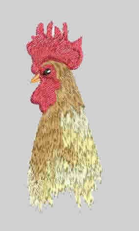 BFC0111 Glorious Roosters