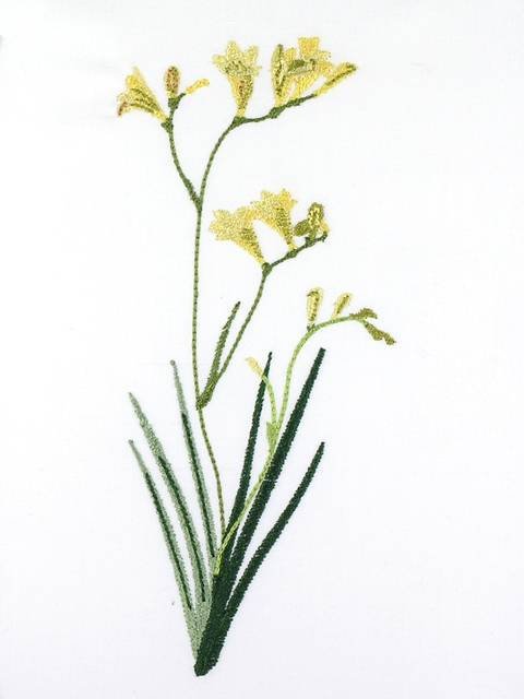 BFC1111 Wildflowers Etc.