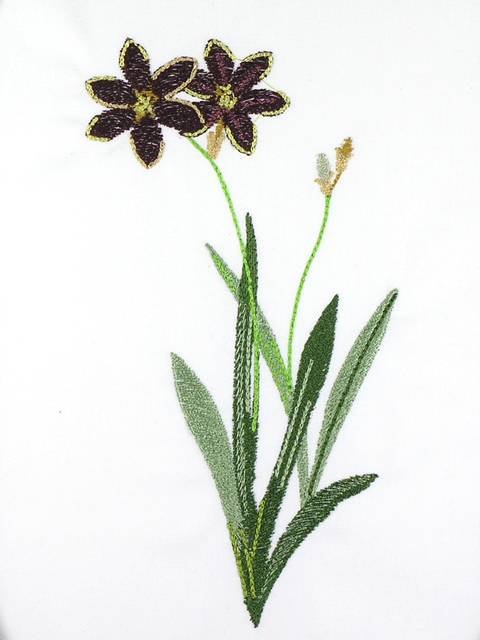 BFC1111 Wildflowers Etc.