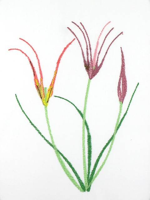 BFC1111 Wildflowers Etc.