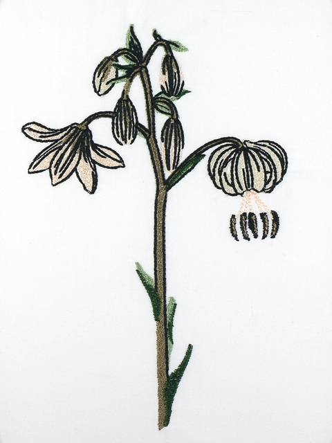 BFC1111 Wildflowers Etc.