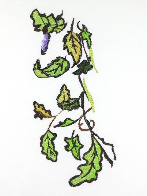 BFC1117 Sally King's Green Man Series- The Lady Complete