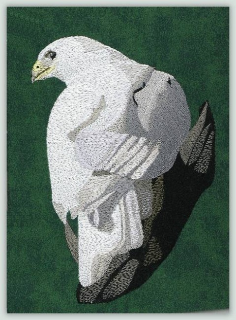 BFC1118 White Hawks