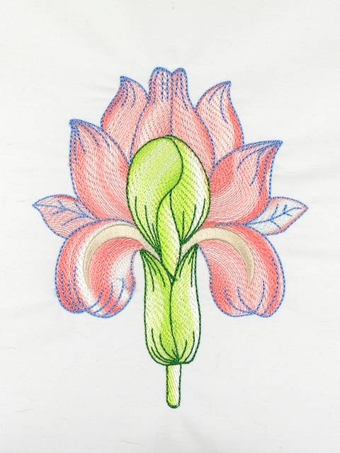 BFC1119 Variegated Fun Flowers