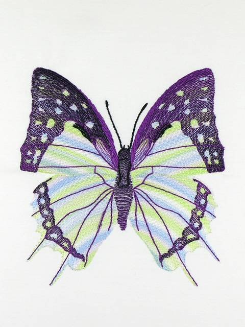 BFC1120 Variegated Fun Butterflies