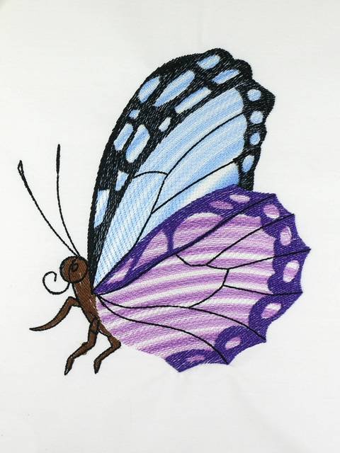 BFC1120 Variegated Fun Butterflies