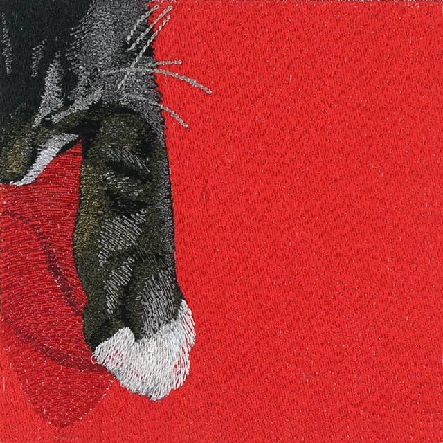 BFC1132 Window-Sleeping Kittens