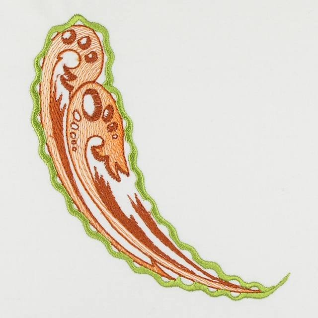 BFC1145 Paisley Feathers