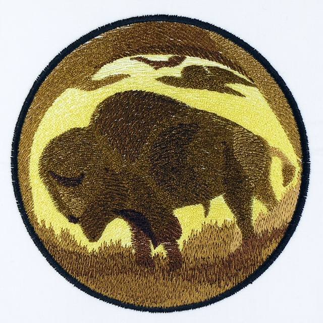 BFC1146 Native American Quilt Circles