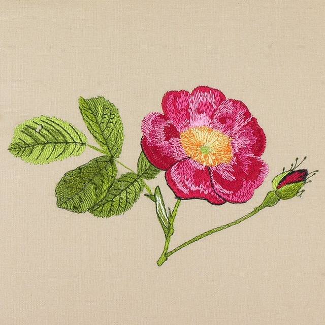 BFC1148 Wild Roses Handbag