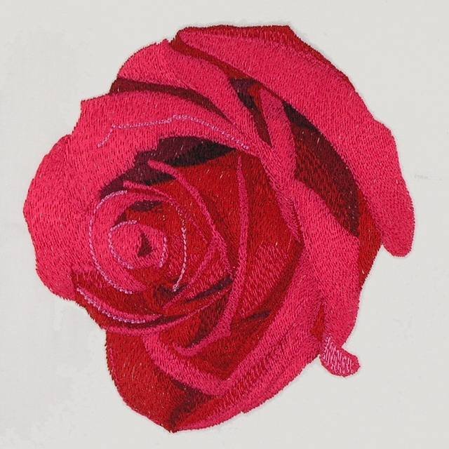 BFC31761 Four Roses no.3