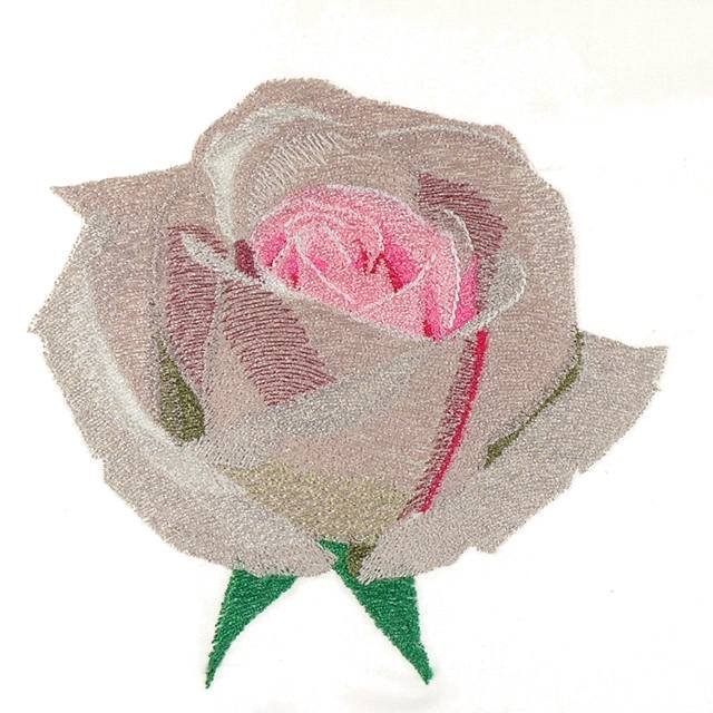 BFC31762 Four Roses no.4