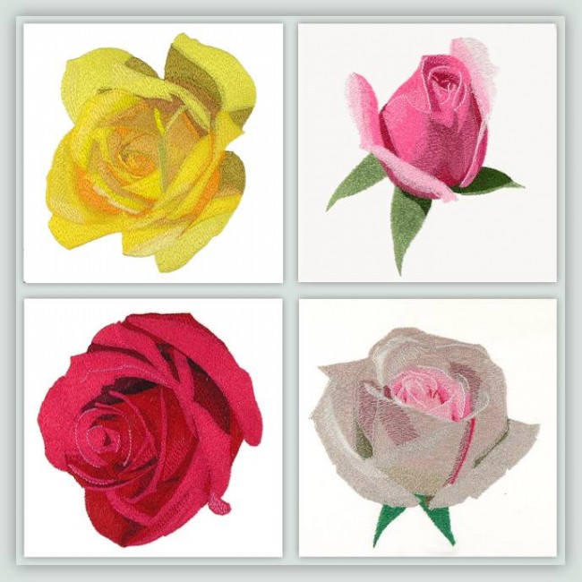BFC1150 Four Roses