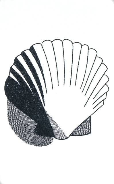 BFC1153 Blackwork Seashells