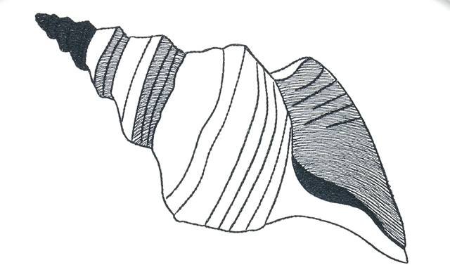 BFC1153 Blackwork Seashells