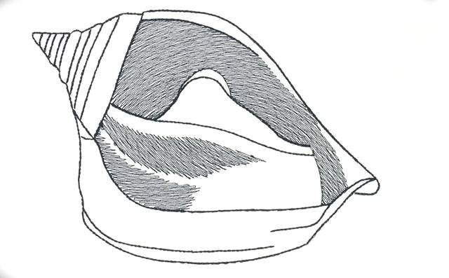 BFC1153 Blackwork Seashells