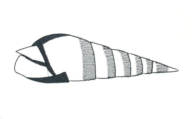 BFC1153 Blackwork Seashells