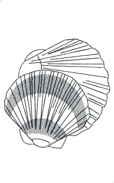 BFC1153 Blackwork Seashells