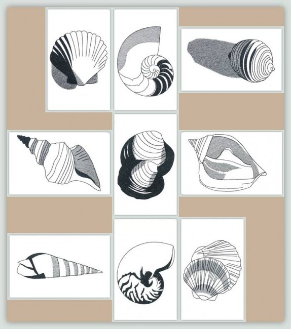 BFC1153 Blackwork Seashells