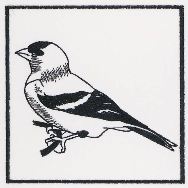 BFC1155 QIH Blackwork Birds and Butterflies Quilt Blocks