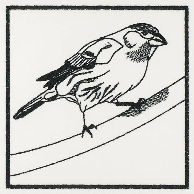 BFC1155 QIH Blackwork Birds and Butterflies Quilt Blocks