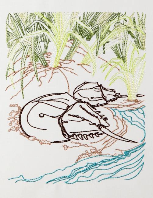 BFC1156 Color Sketches By the Shore - Part 1