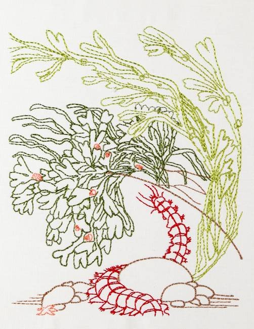 BFC1156 Color Sketches By the Shore - Part 1