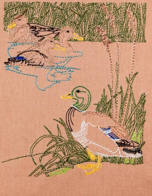BFC1157 Color Sketches by the Shore - 2-01