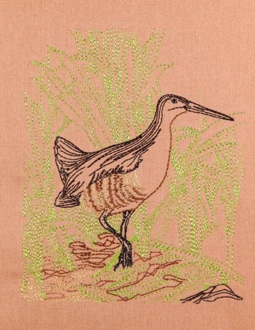 BFC1157 Color Sketches By the Shore Part II