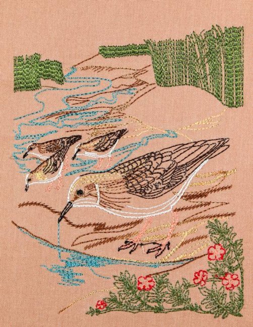 BFC1157 Color Sketches by the Shore - 2-08