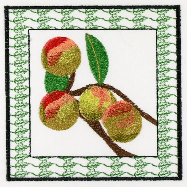 BFC1161 QIH-Fruit and Flower Quilt Blocks