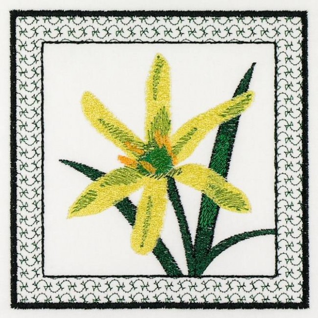 BFC1161 QIH-Fruit and Flower Quilt Blocks