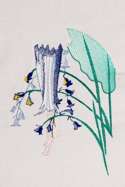 BFC1168 Sally King's Bluebell Fairies