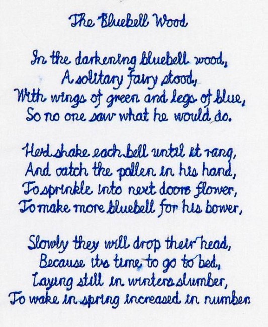 BFC1168 Sally King's Bluebell Fairies