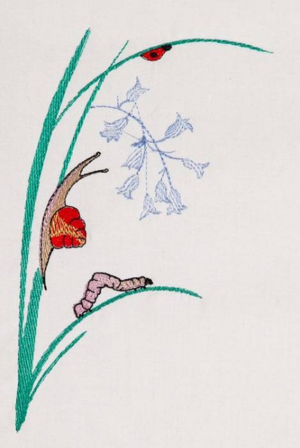 BFC1168 Sally King's Bluebell Fairies
