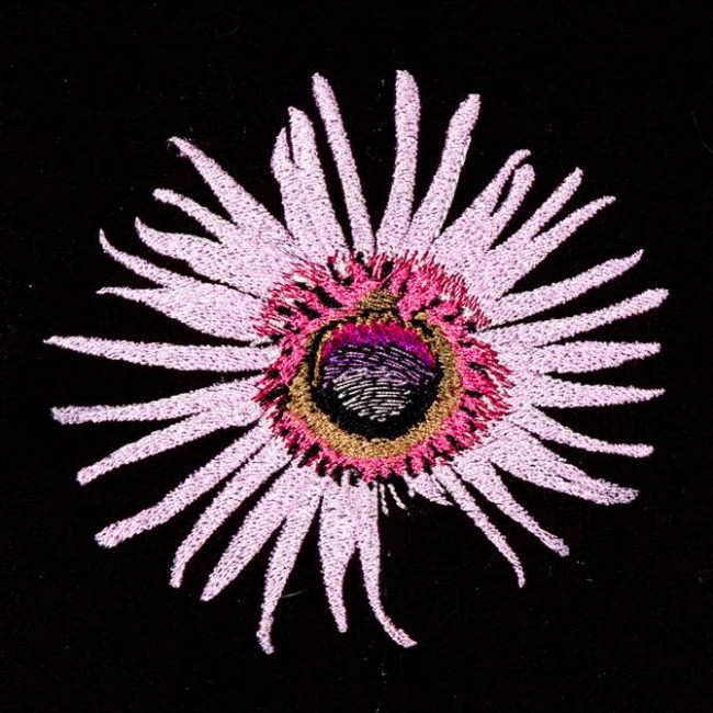 BFC1173 South African Flowers