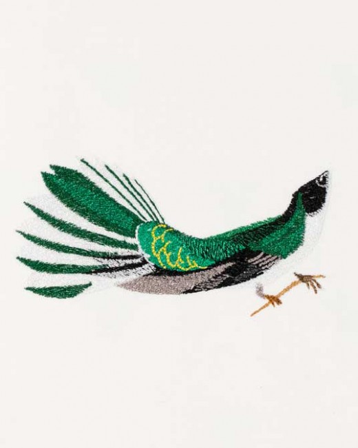 BFC1182 Large Haeckels Hummingbird Fantasy