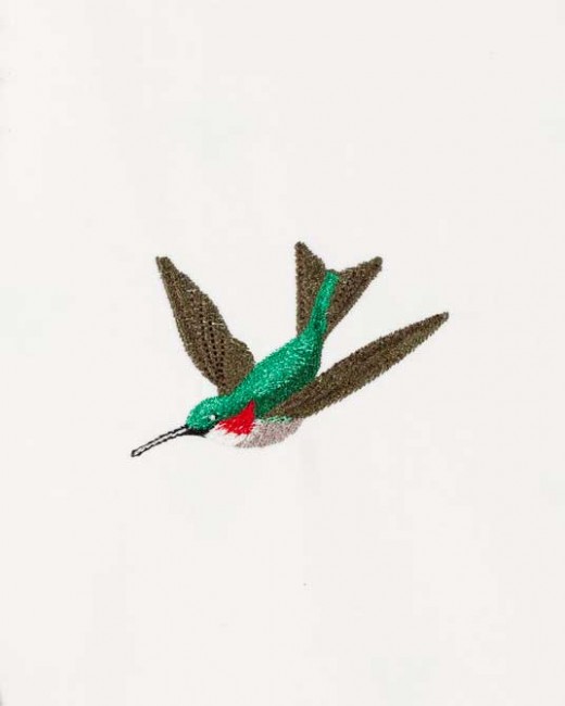 BFC1182 Large Haeckels Hummingbird Fantasy
