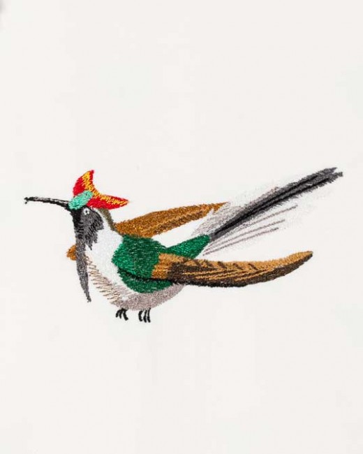 BFC1182 Large Haeckels Hummingbird Fantasy