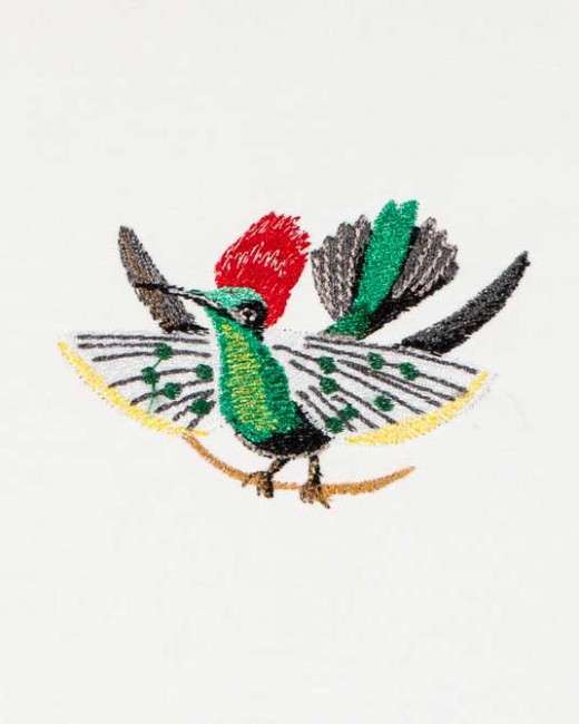 BFC1182 Large Haeckels Hummingbird Fantasy