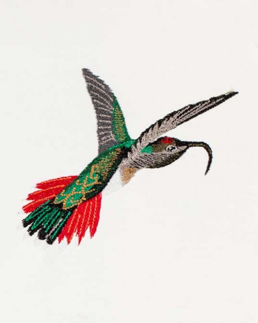 BFC1182 Large Haeckels Hummingbird Fantasy