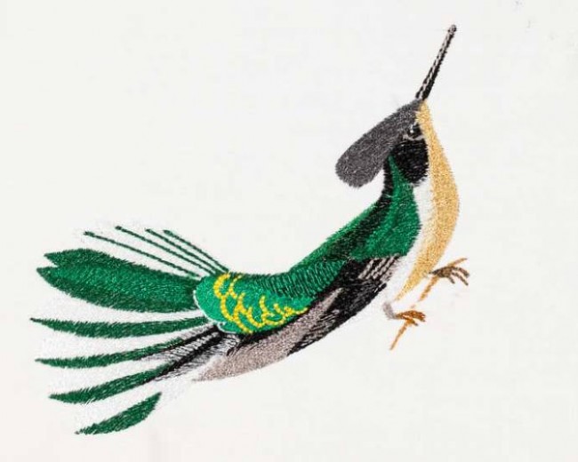 BFC1182 Large Haeckels Hummingbird Fantasy