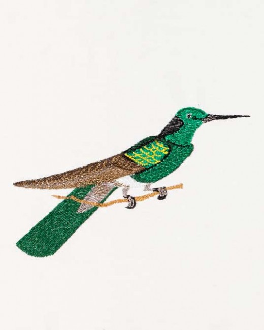 BFC1182 Large Haeckels Hummingbird Fantasy