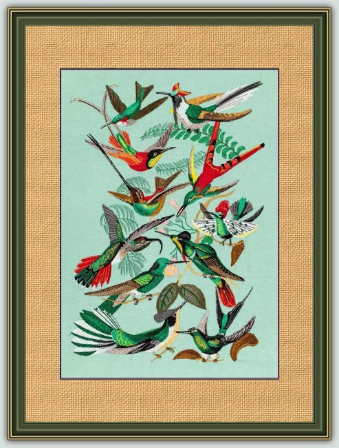 BFC1182 Large Haeckels Hummingbird Fantasy