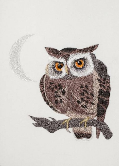 BFC1196 Outlandish Owls