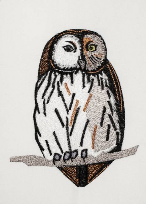 BFC1196 Outlandish Owls