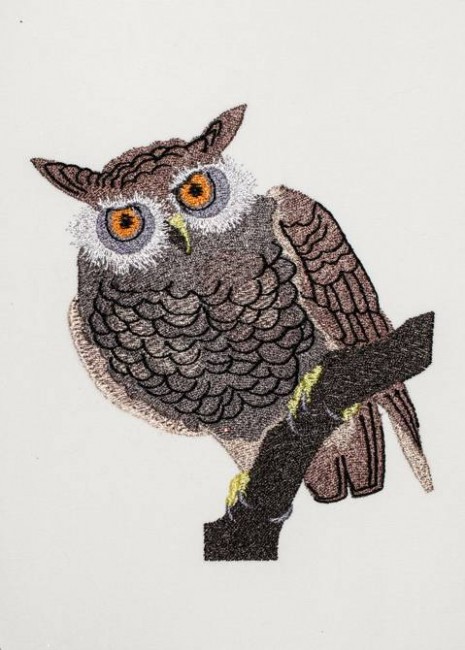 BFC1196 Outlandish Owls