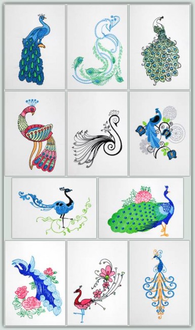 BFC1197 Fanciful Peacocks